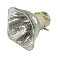 HITACHI CP-DH300ES Lamp without housing