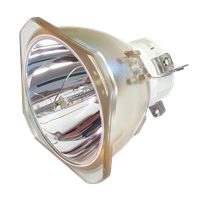 NEC PA521U Lamp without housing