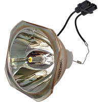 PANASONIC PT-DS12U Lamp without housing