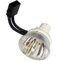 SHARP AN-XR30LP (BQC-PGF200X) Lamp without housing